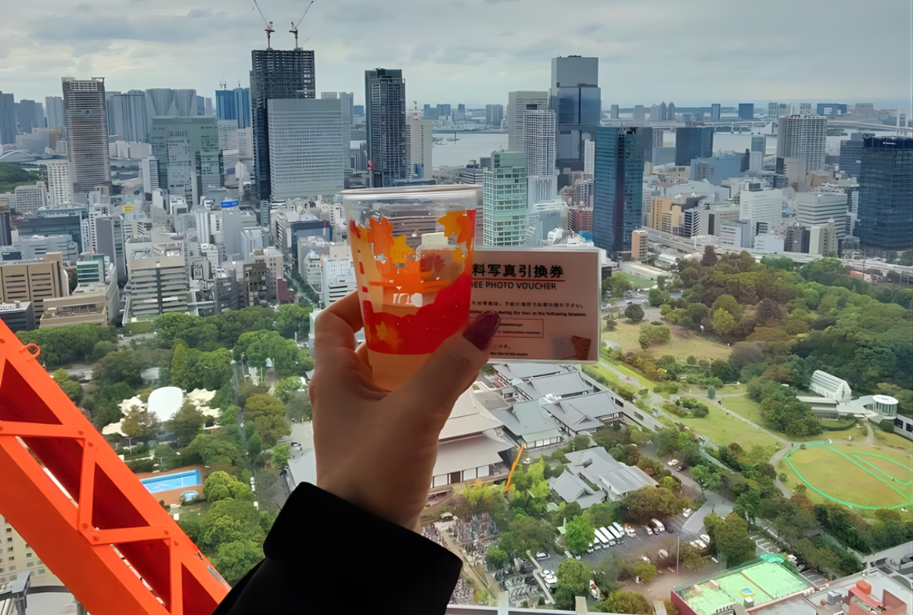 Tokyo Tower Observatory Ticket 5
