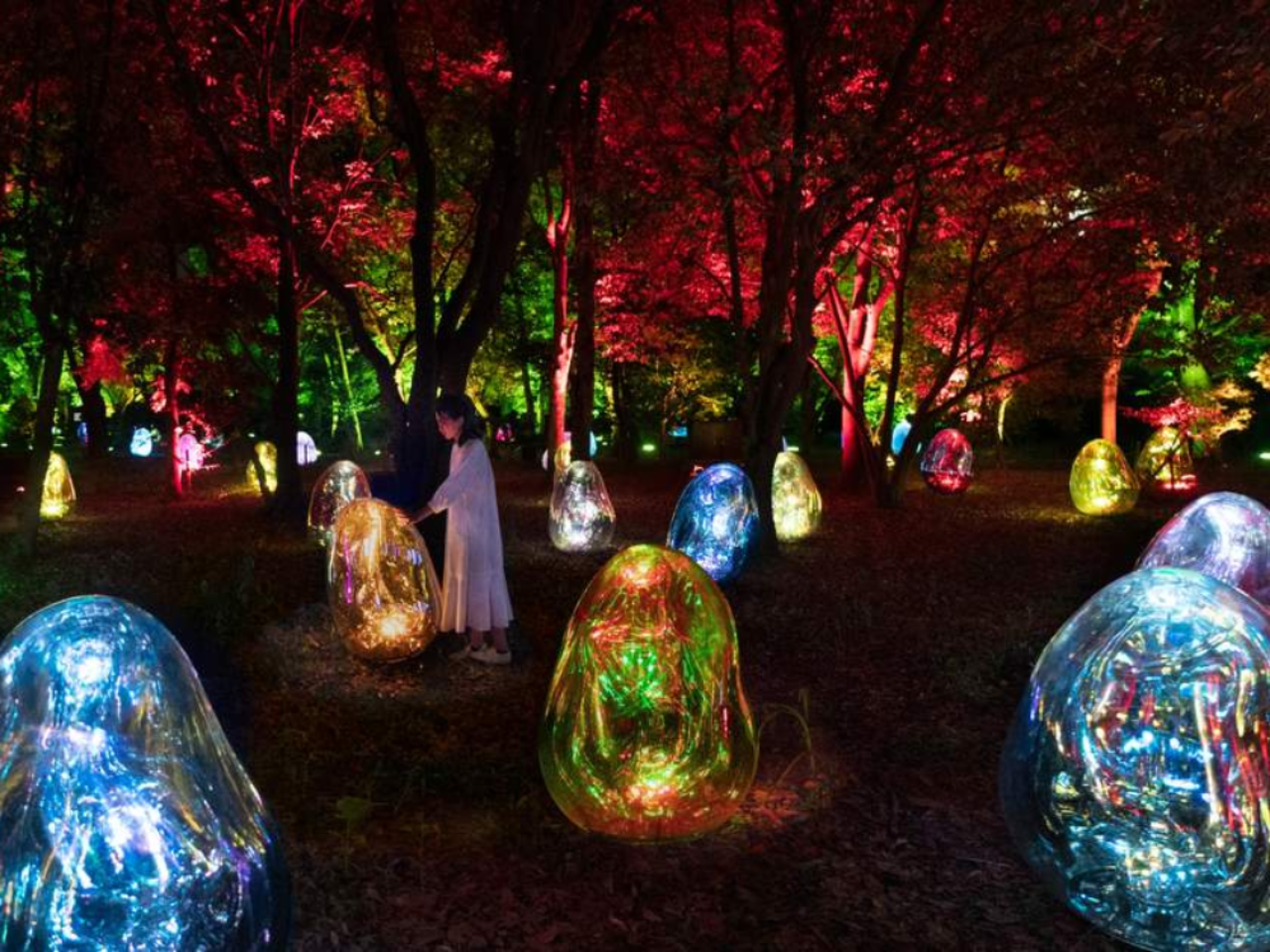 teamLab Botanical Garden Osaka Ticket 4