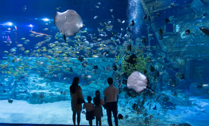 Lotte World Aquarium Hanoi Ticket