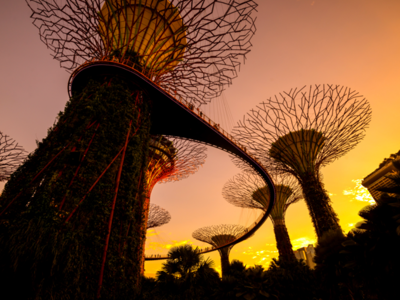 Gardens by the Bay Singapore 4