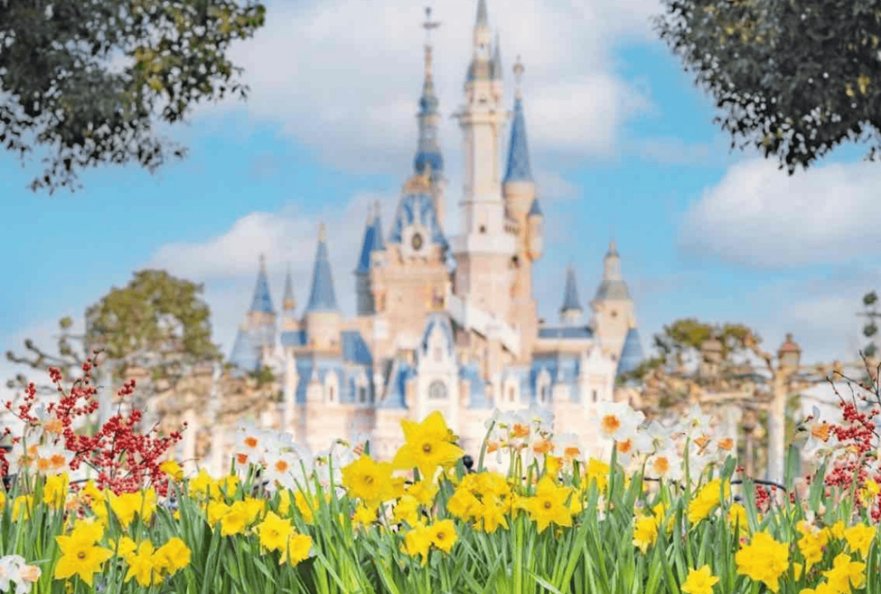 Shanghai Disneyland Ticket 5