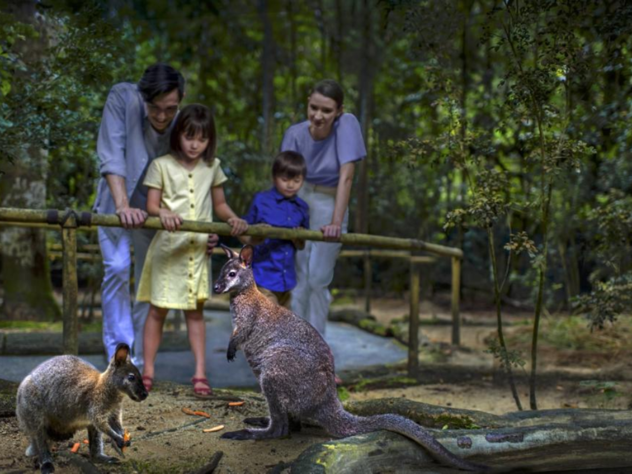 Night Safari Tickets | Mandai Wildlife Reserve, Singapore 4