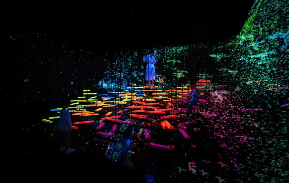 teamLab Planets TOKYO Ticket 3