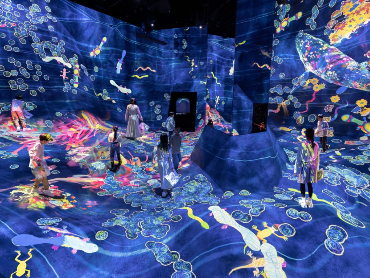 teamLab Planets TOKYO Ticket 4