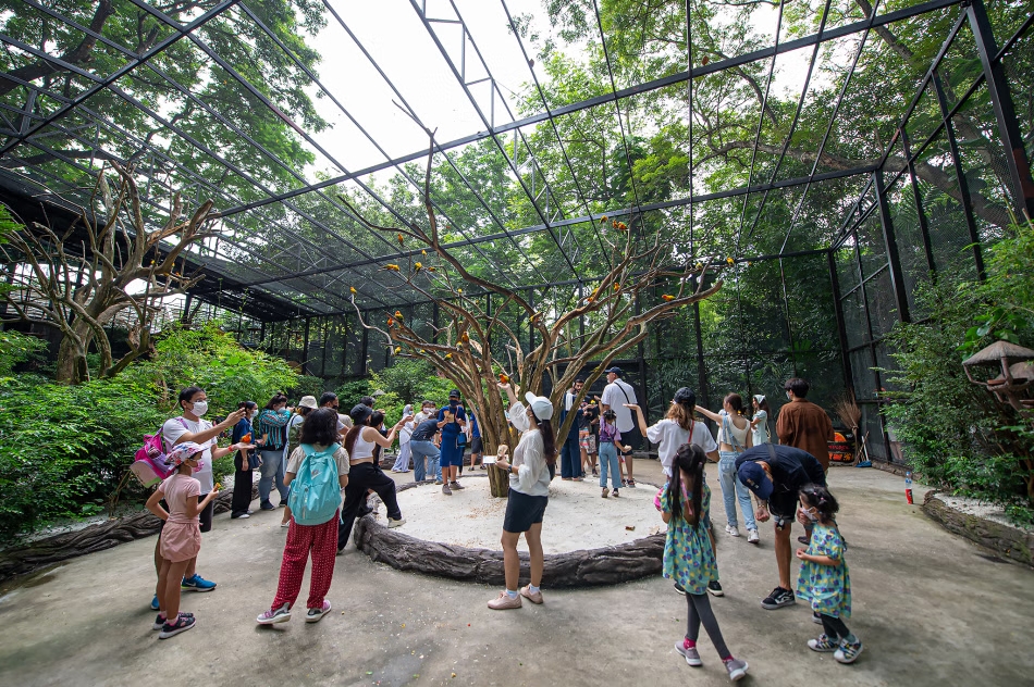 Safari World Bangkok Ticket 3