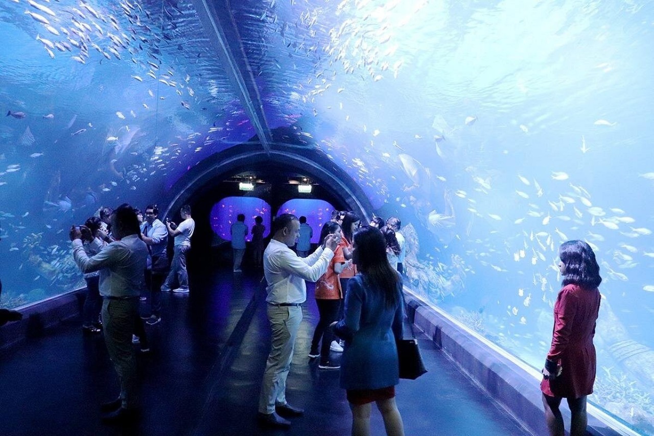 Aquaria Phuket Ticket | Thailand 4