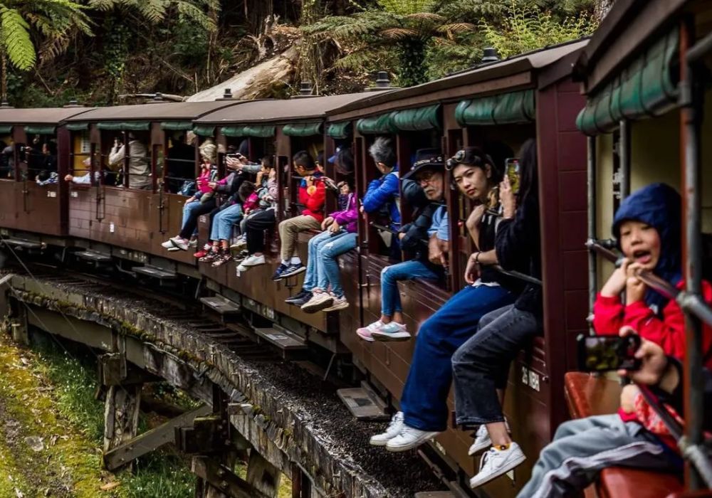 Puffing Billy Railway Tickets from Melbourne | Victoria 5