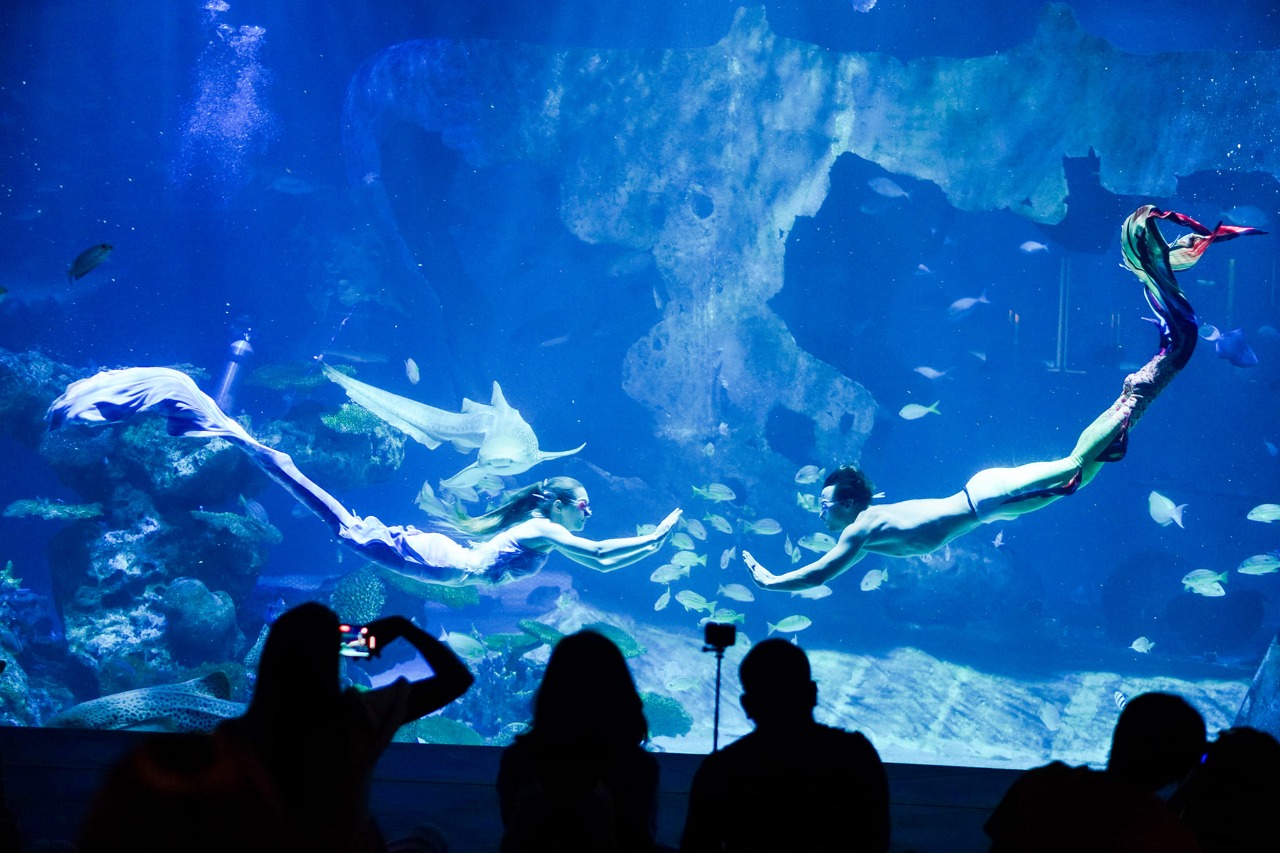 Aquaria Phuket Ticket | Thailand