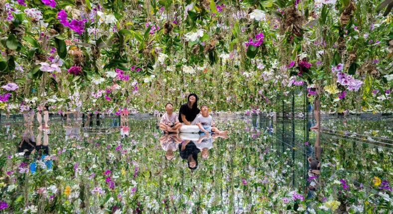 teamLab Planets TOKYO Ticket 5
