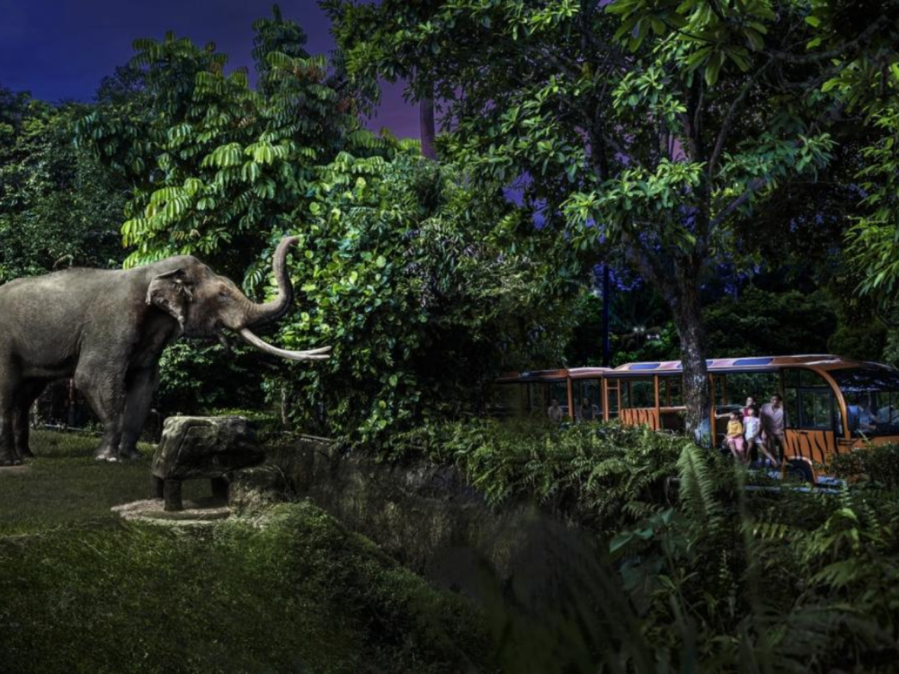 Night Safari Tickets | Mandai Wildlife Reserve, Singapore 5