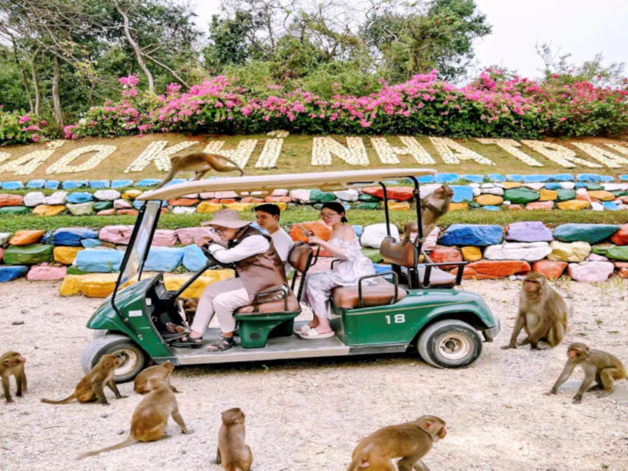 Orchid Island & Monkey Island Admission Ticket