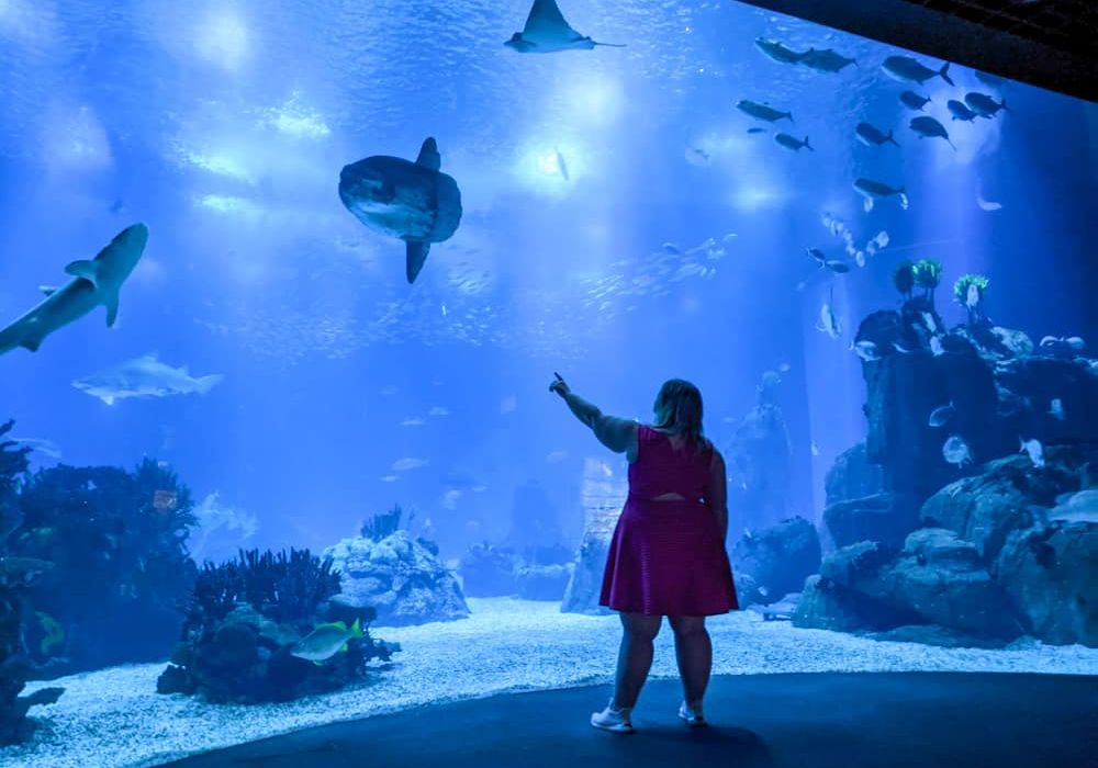 Oceanarium Aquarium Admission in Lisbon 5