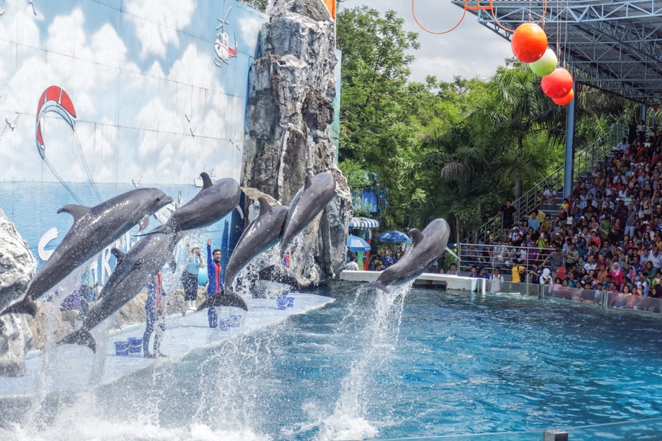 Safari World Bangkok Ticket 2