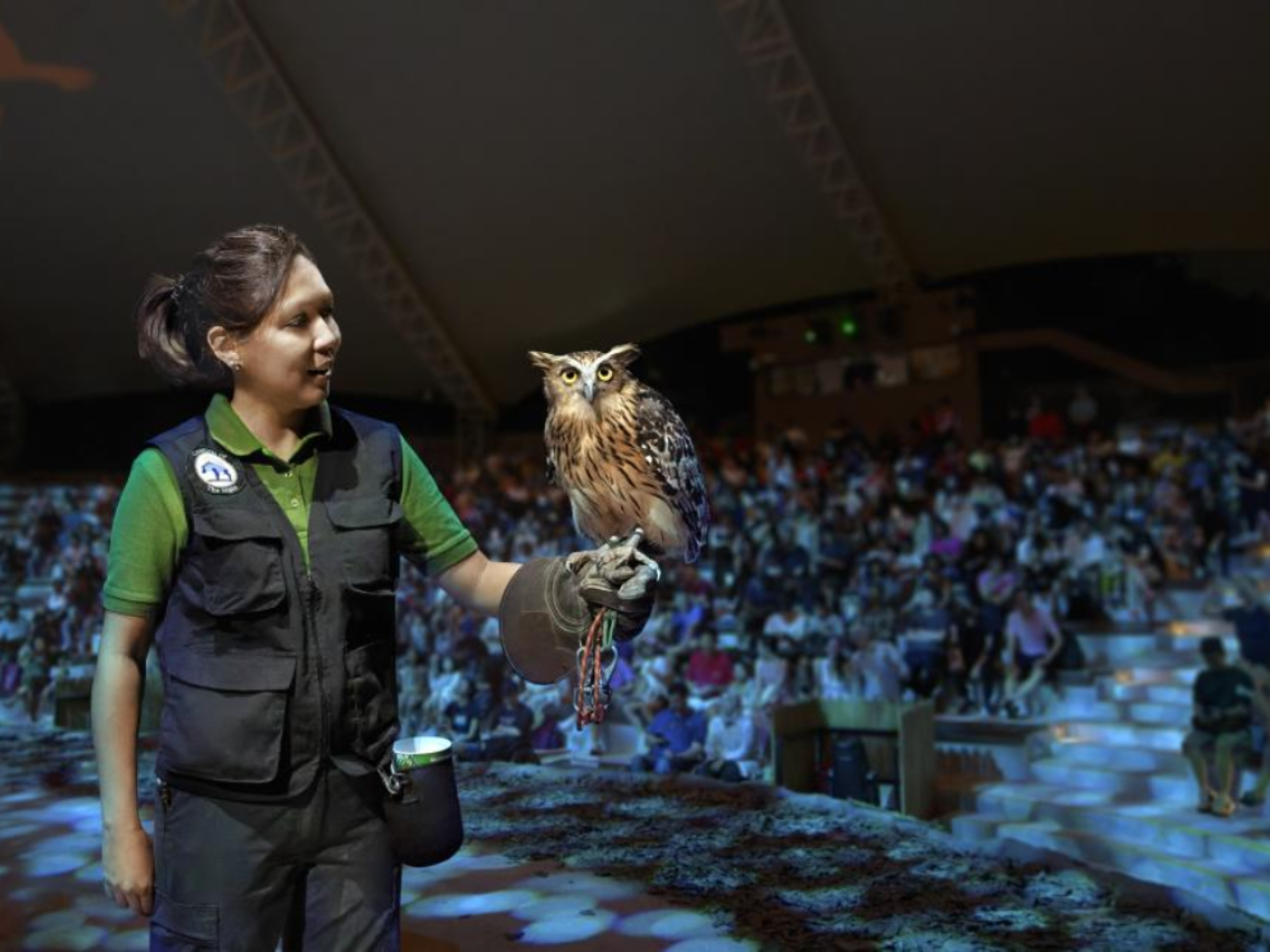 Night Safari Tickets | Mandai Wildlife Reserve, Singapore
