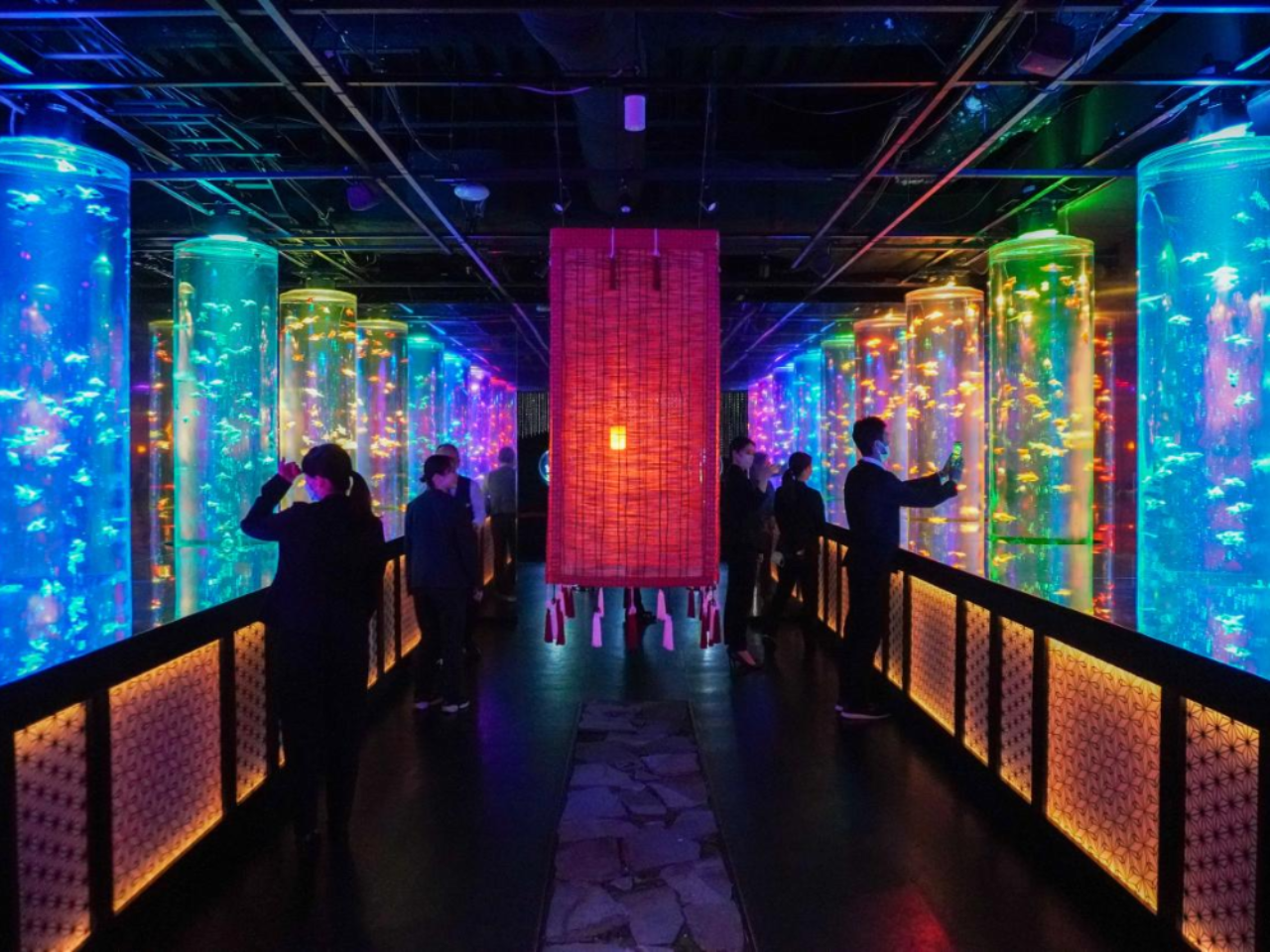 Art Aquarium Museum GINZA ticket 5
