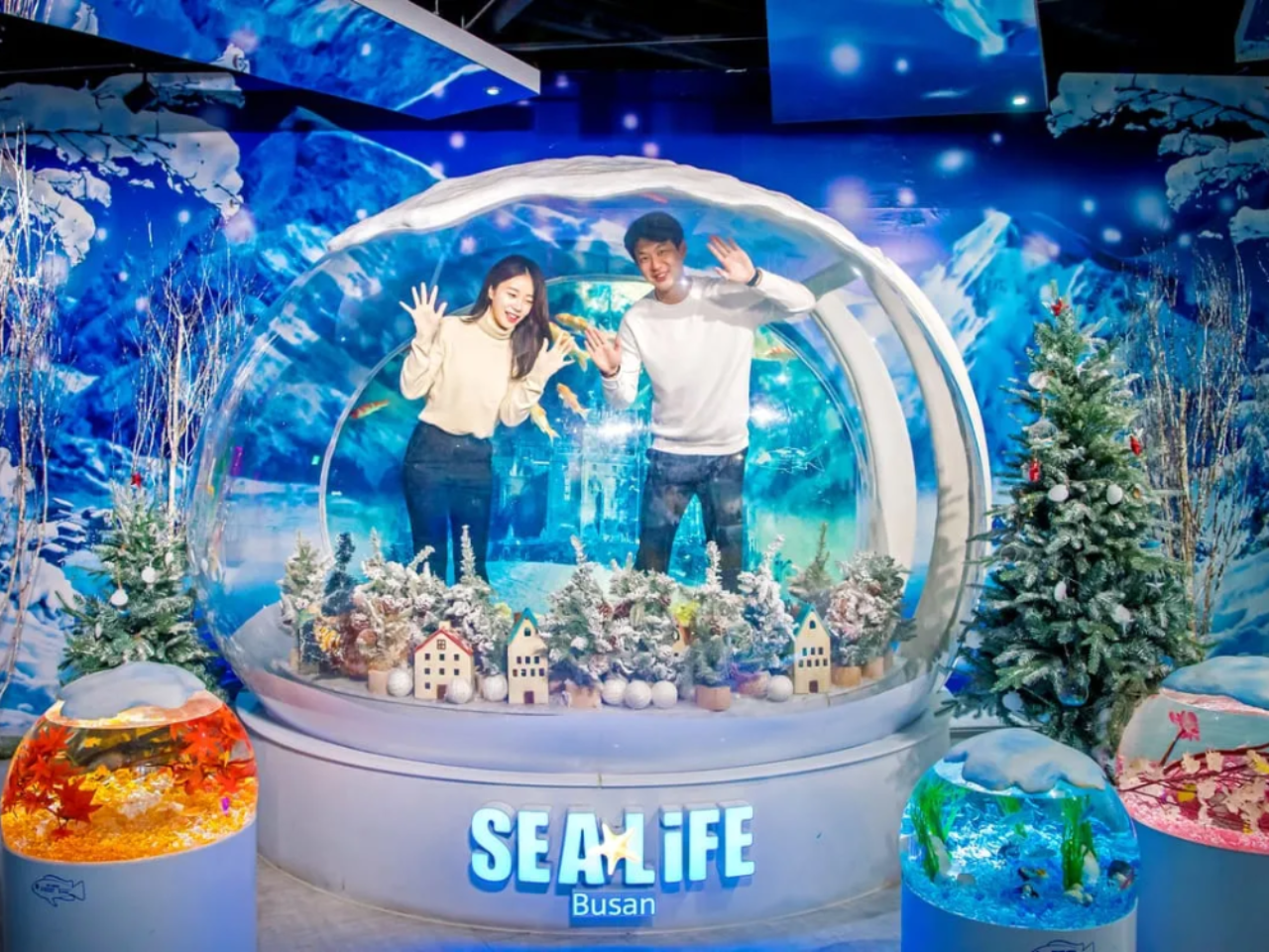 Sea Life Busan Aquarium Tickets | Korea 5