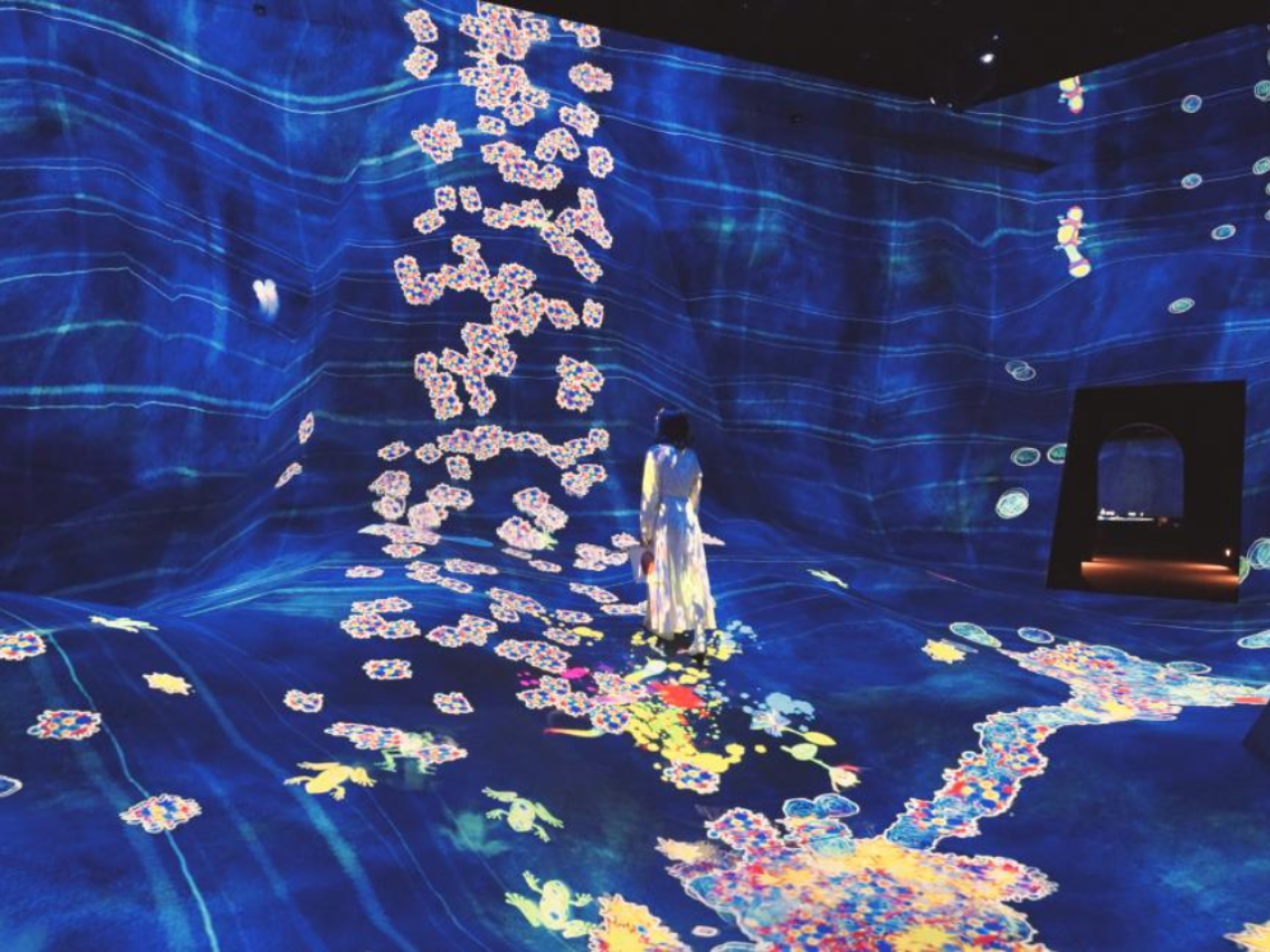Tokyo TeamLab Planets Ticket 3