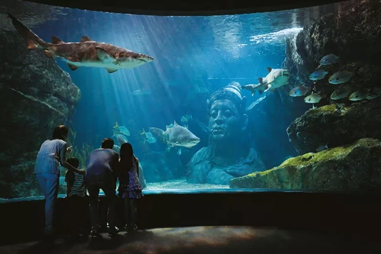 SEA LIFE Bangkok Ocean World Ticket 5