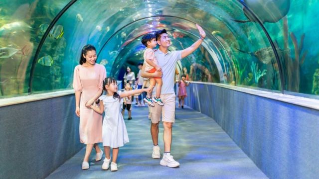 VinKE & Vinpearl Aquarium Ticket in Ha Noi
