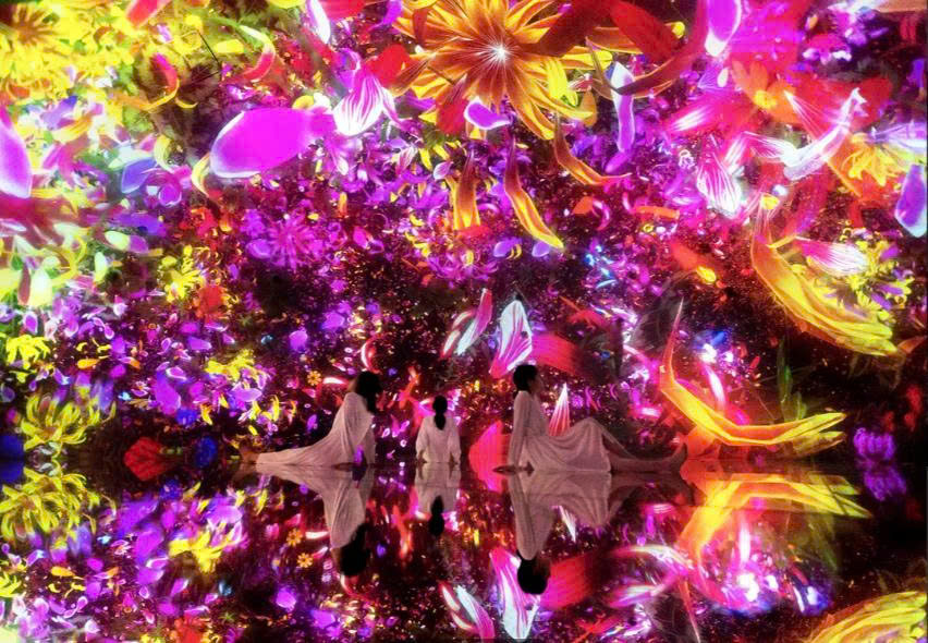 teamLab Planets TOKYO Ticket 4