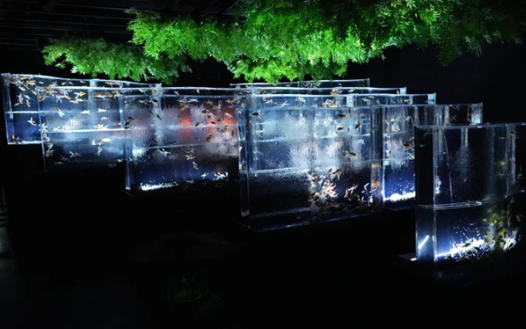 Art Aquarium Museum GINZA ticket 3