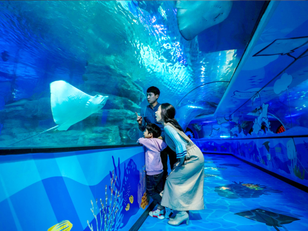 Busan SEA LIFE Aquarium / Brickman Admission Ticket