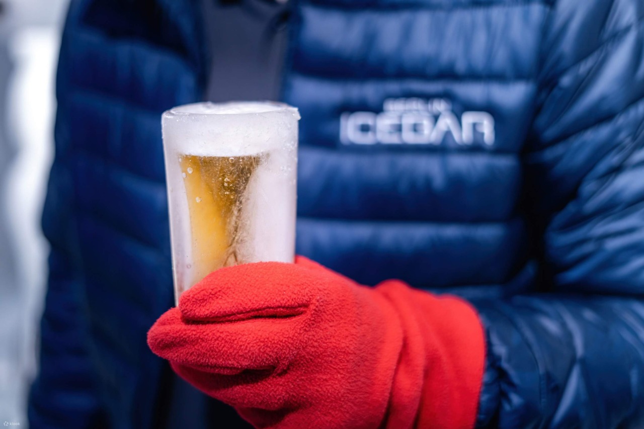 Berlin Icebar Ticket with free drinks 4