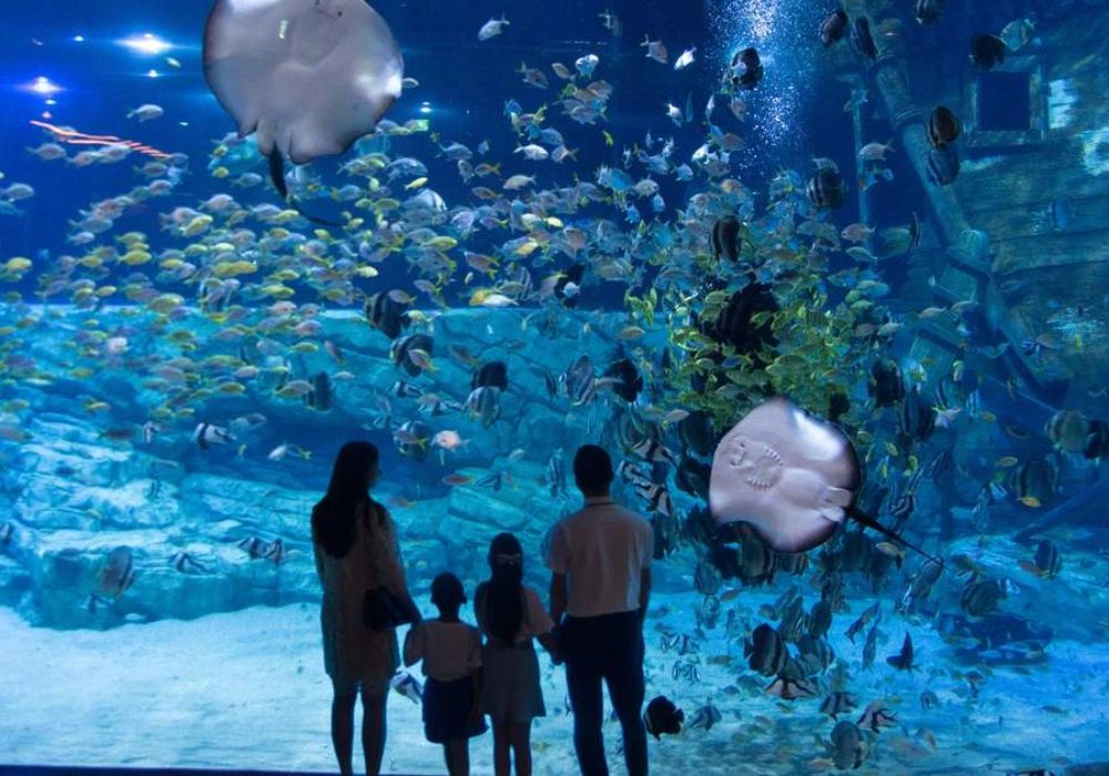 Lotte World Aquarium Hanoi Ticket