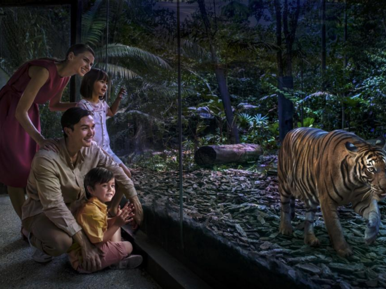 Night Safari Tickets | Mandai Wildlife Reserve, Singapore 3