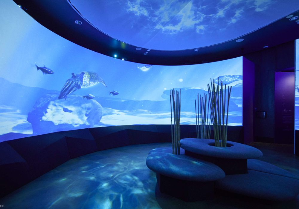 [QR Direct Entry] Melbourne SEA LIFE Aquarium Tickets | Victoria 3