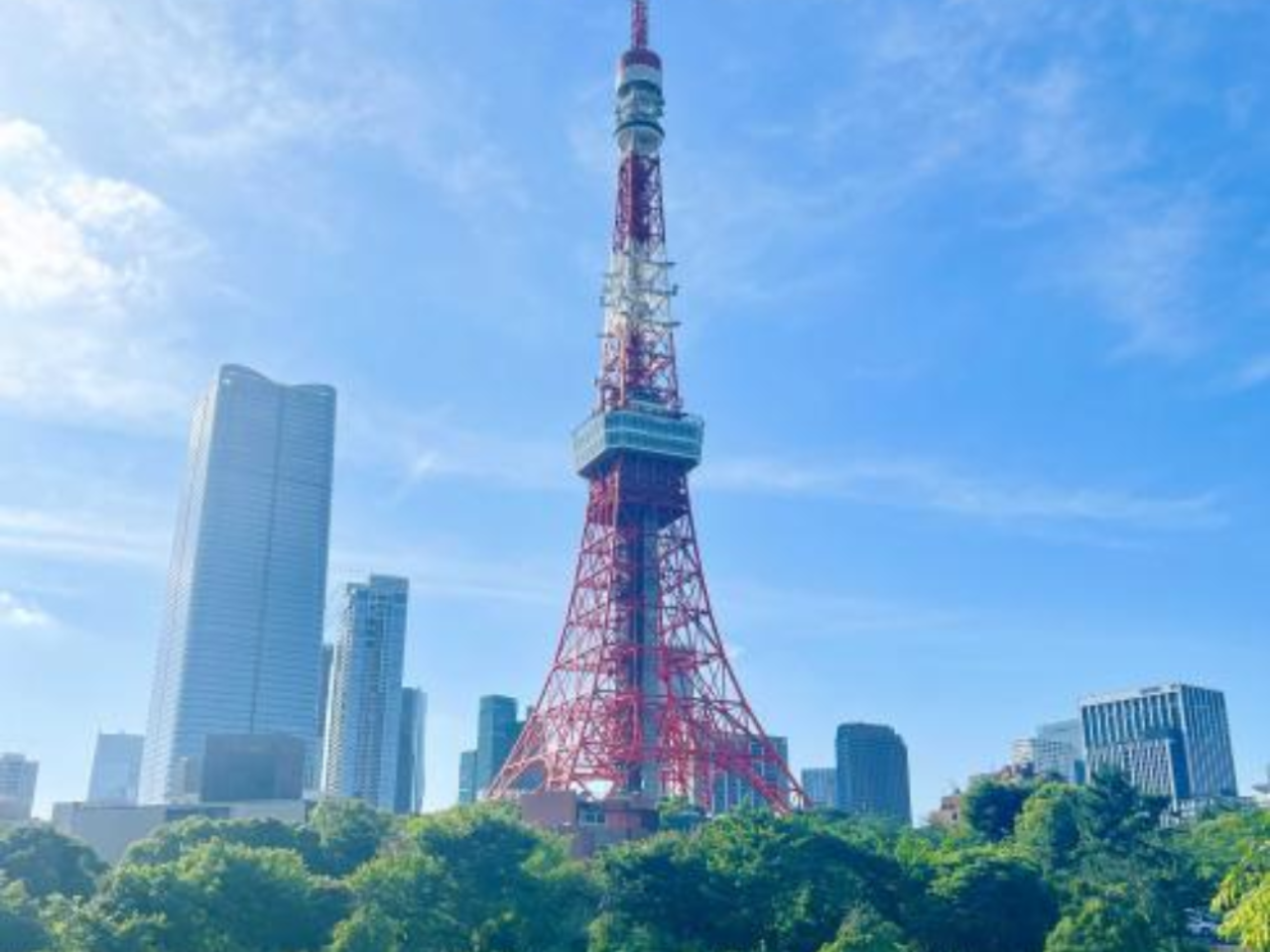 Tokyo Tower Main Observatory Ticket 5