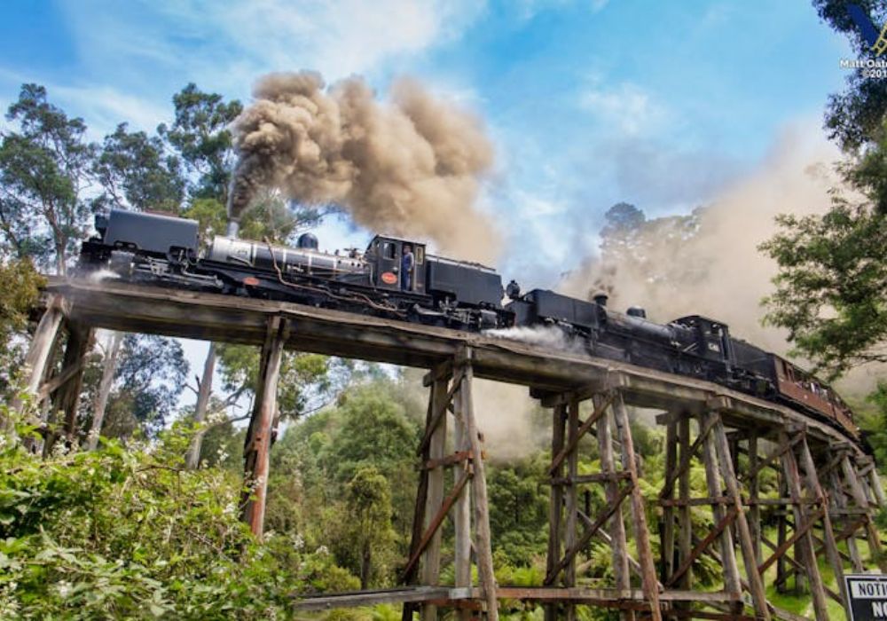 Puffing Billy Railway Tickets from Melbourne | Victoria 4