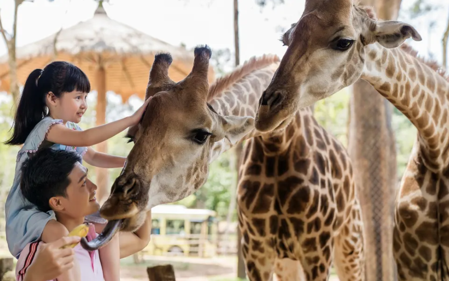 Vinpearl Safari Phu Quoc Ticket - Entrance + VinWonders Combo 5