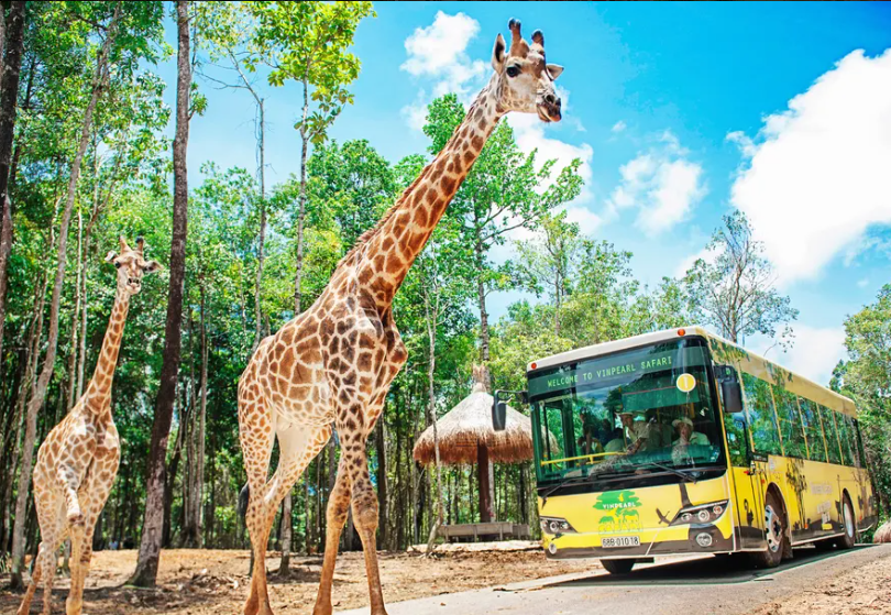Vinpearl Safari Phu Quoc Ticket - Entrance + VinWonders Combo 4