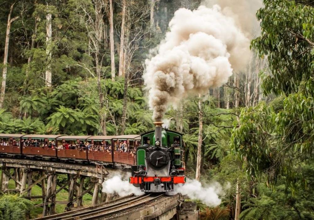 Puffing Billy Railway Tickets from Melbourne | Victoria 3