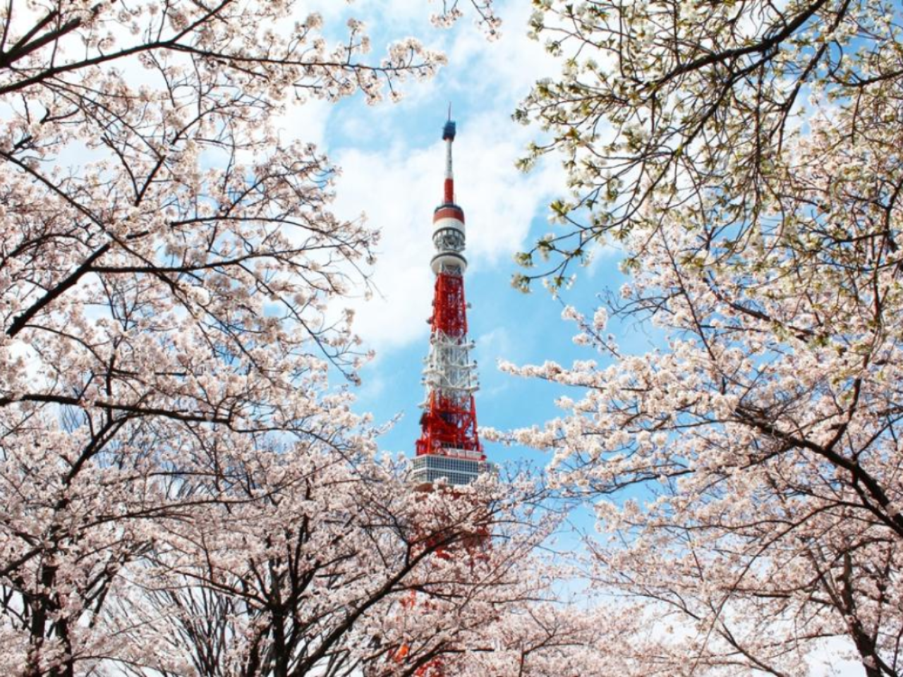 Tokyo Tower Observatory Ticket