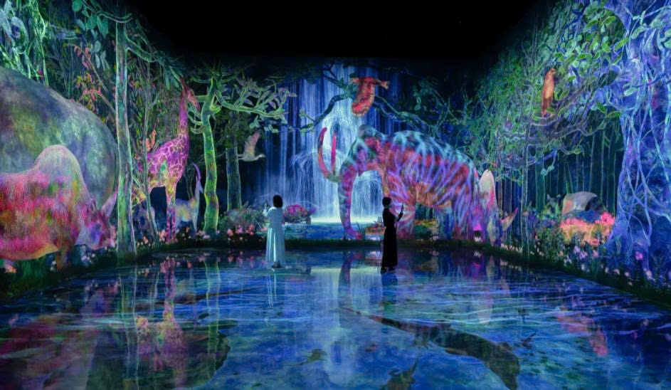teamLab Planets TOKYO Ticket