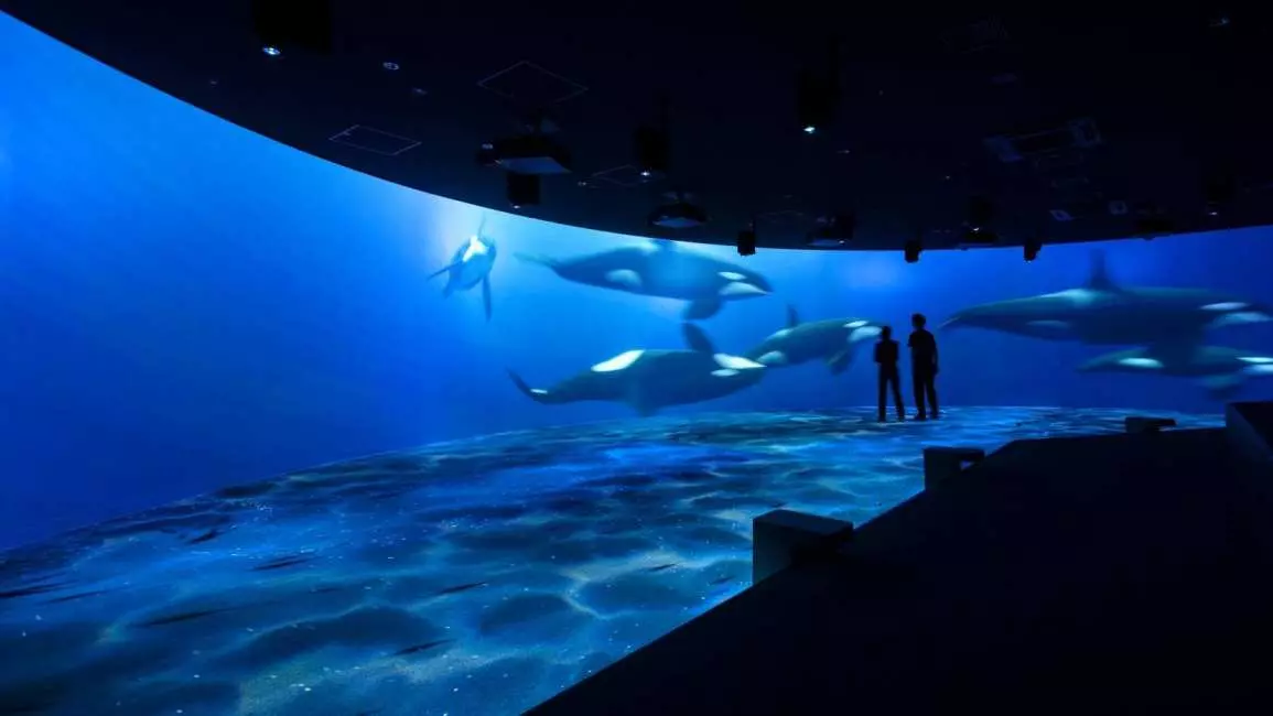 AQUARIUM PARK AOAO SAPPORO (Hokkaido) 3