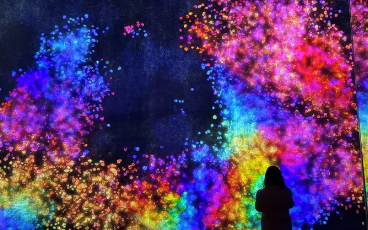 teamLab Planets TOKYO Ticket 3