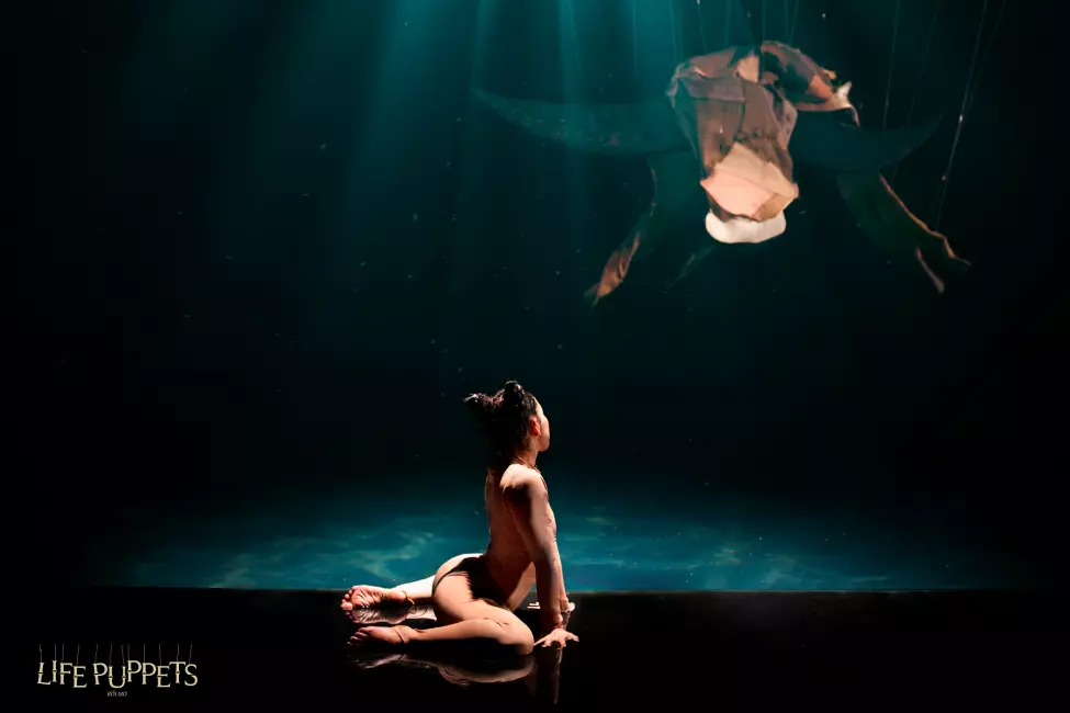 Life Puppets Show at Do Theater Ticket in Nha Trang | Vietnam 2