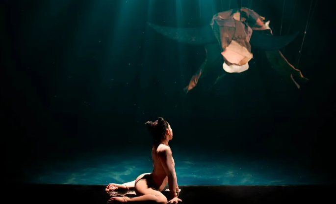 Nha Trang Life Puppets Show Ticket at Do Theatre 3